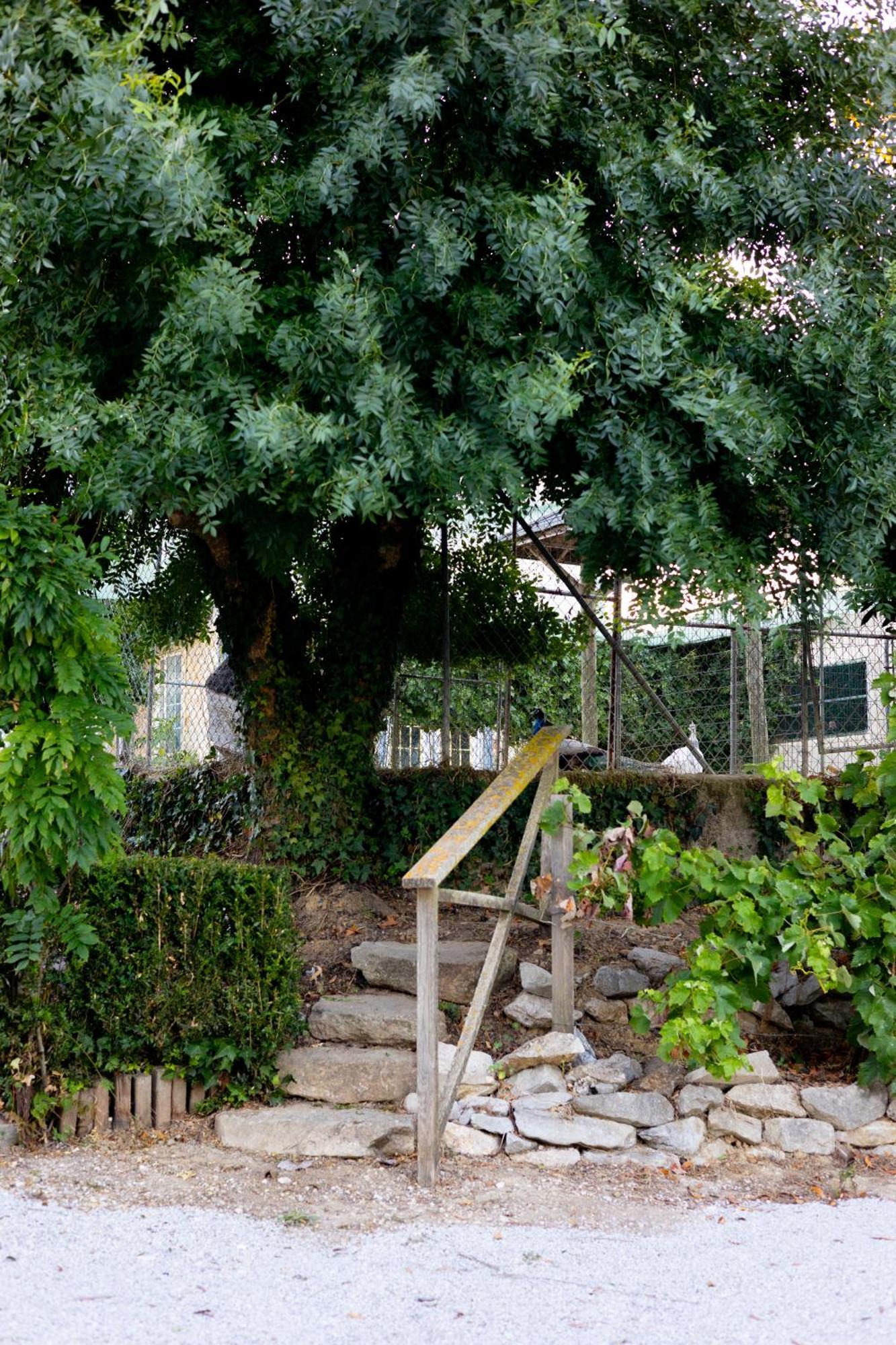 Kabaceira Village Apartamento *